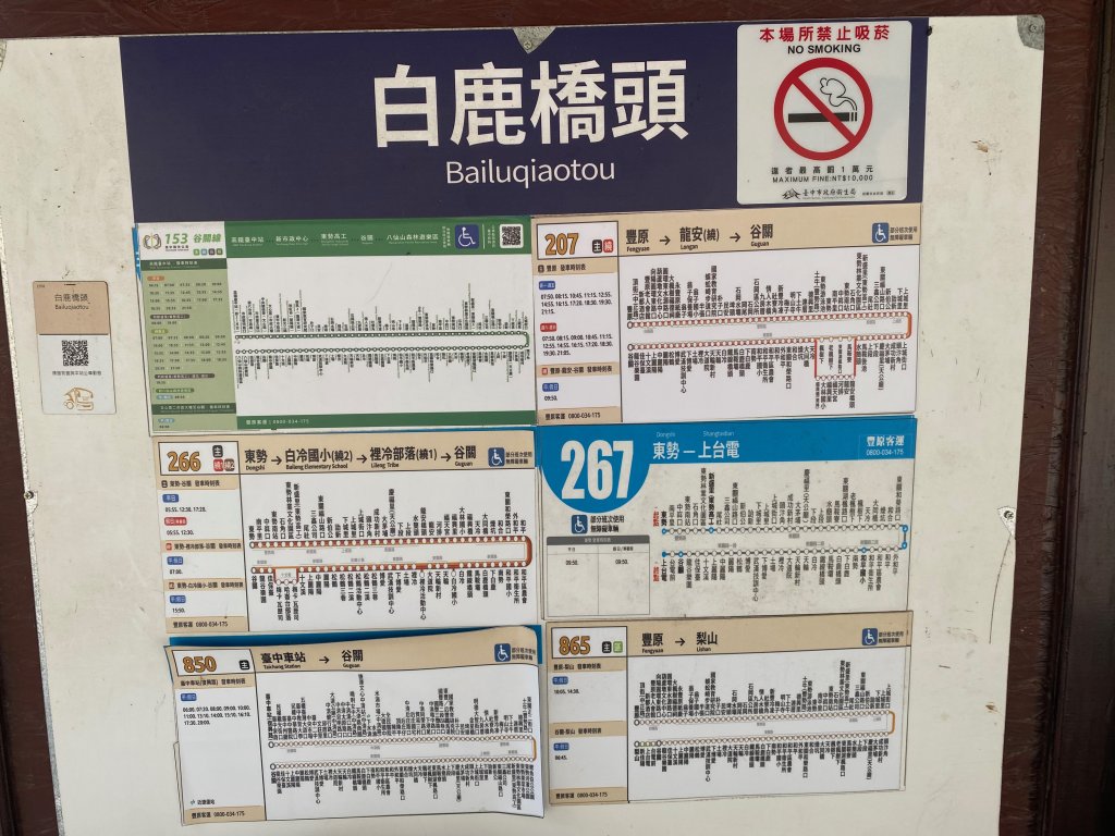 1120318白毛山封面圖