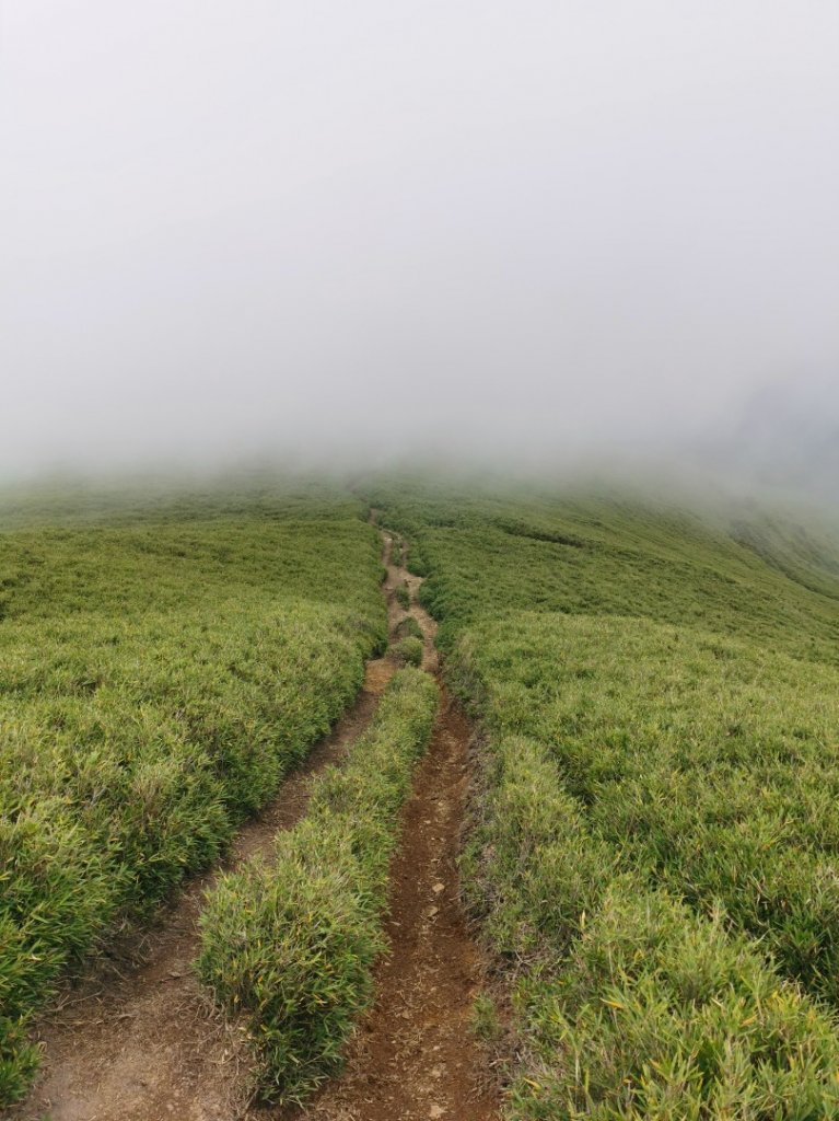 南華山封面圖