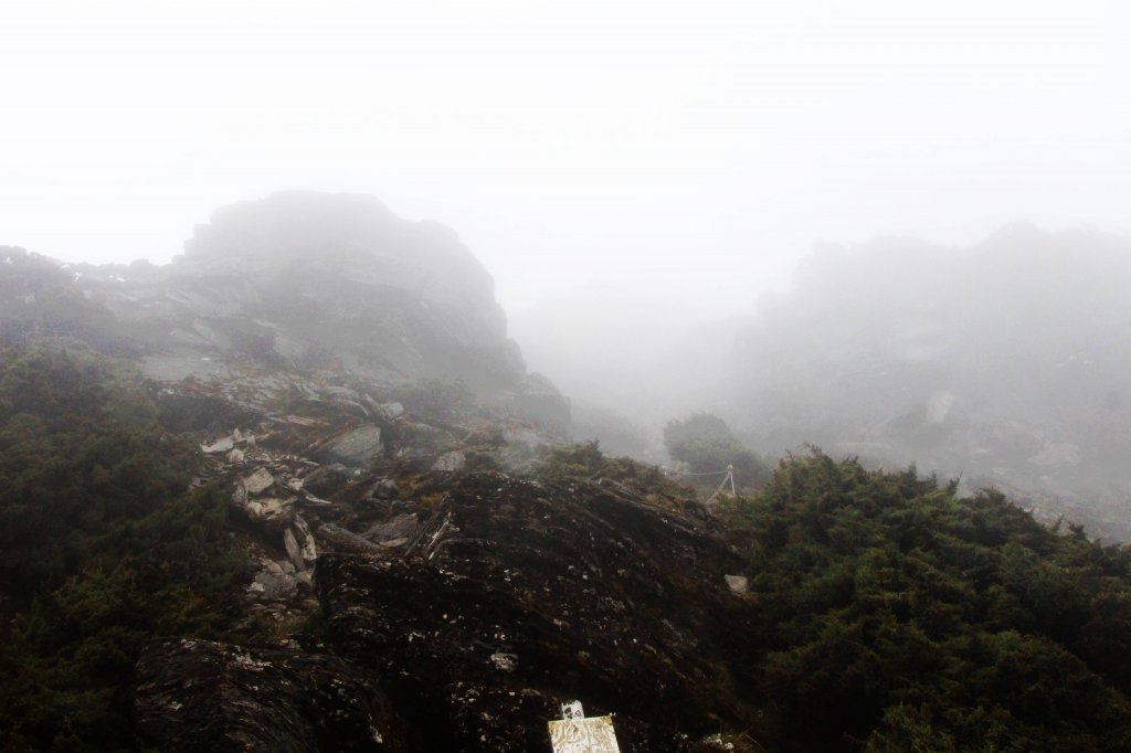 南湖煙雨 帝王下杜鵑群芳出塵仙姿 ! _589574