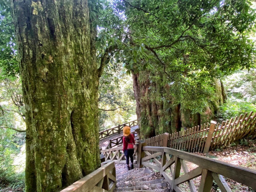 石山引水道 鹿林前山瀑布 鹿林神木_1741056