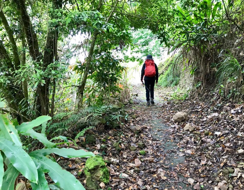 青山常在 九份二山_293034