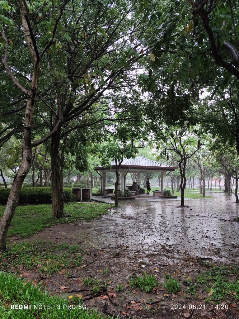 雲遊大安森林公園【走路趣尋寶，全臺齊步走】_2531630