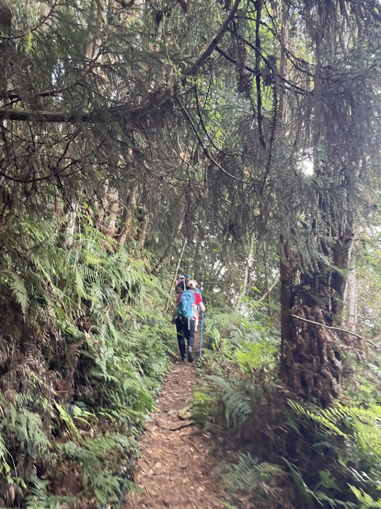 民都有山_2877326