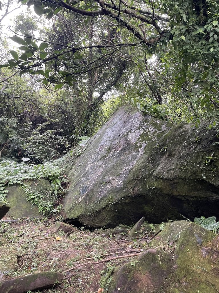 龍虎縱走_2945596