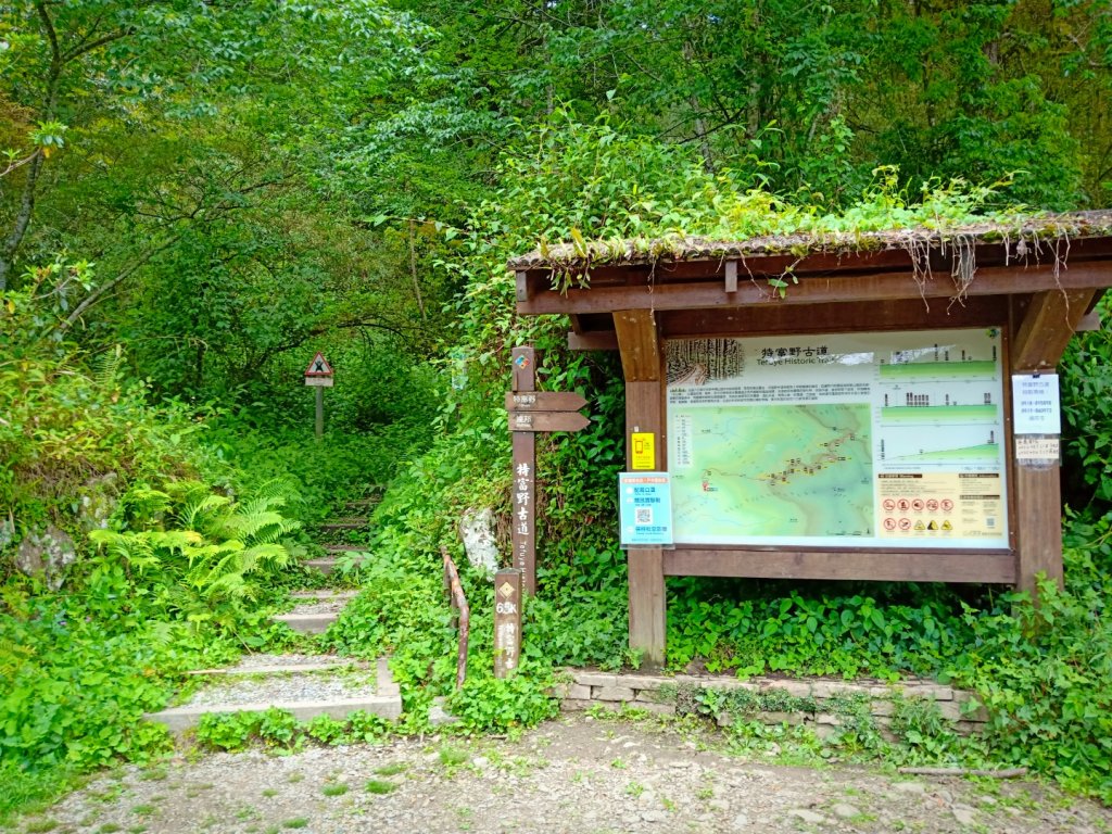 特富野親子遊_1661774