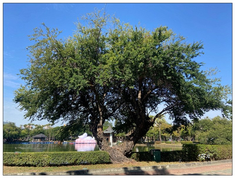 台中公園基石 (砲台山三角原點)_2992181