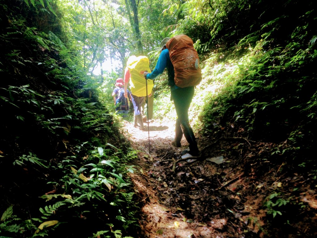 淡蘭古道中路【崩山坑-石空段】_640667