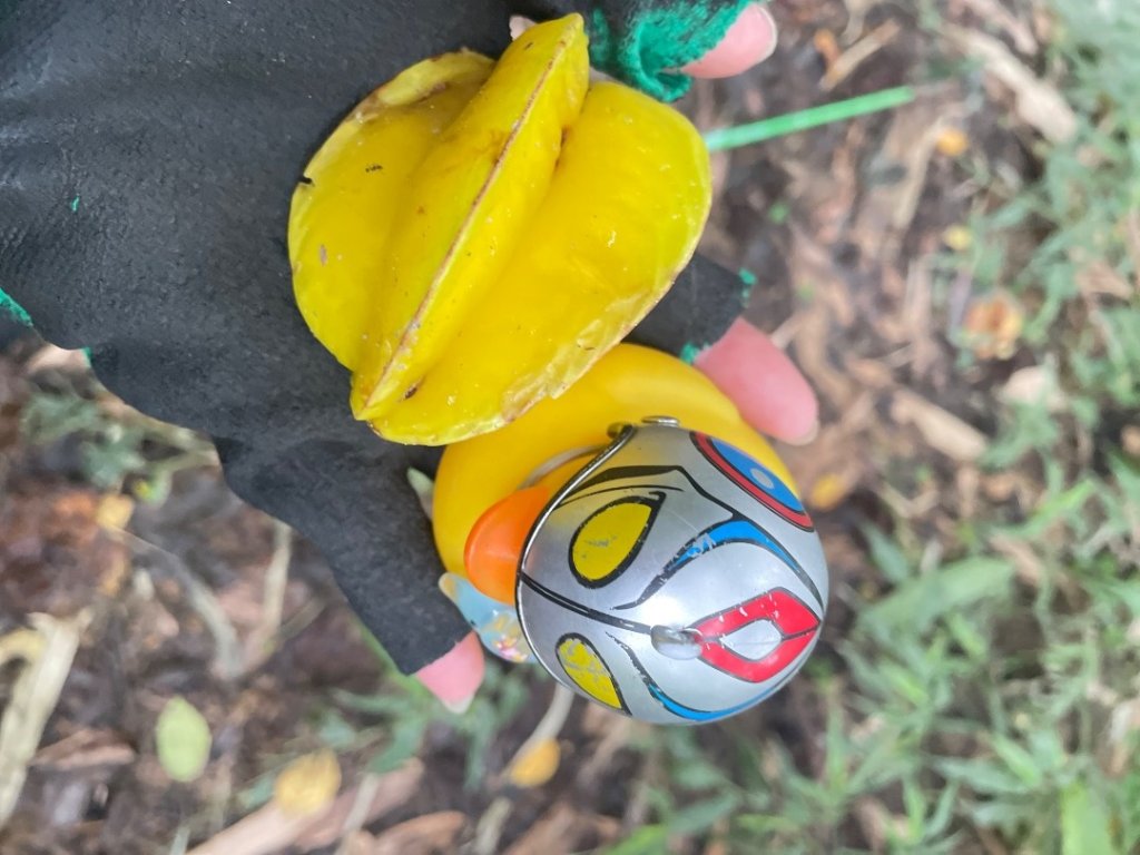 鳳鳴-龜山-鶯歌六連峰縱走/樹林大凍山-鶯歌蛋石山-鶯歌陶瓷博物館_2978523