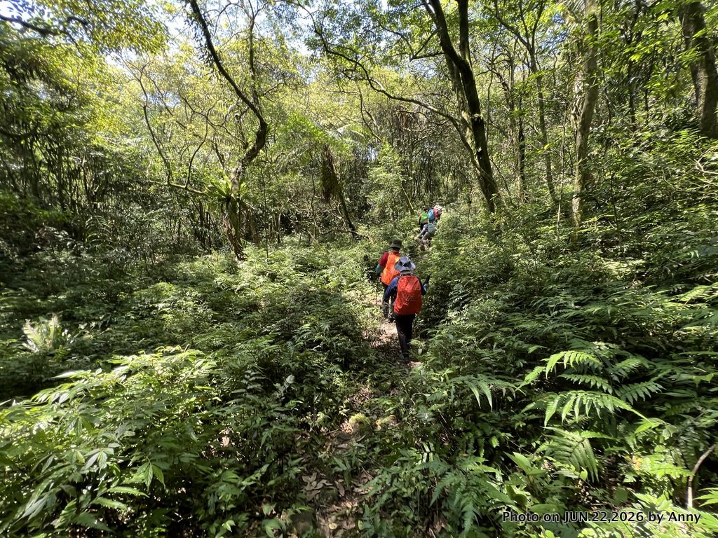 灣潭福德廟－南勢坑山－灣潭竹子山－七股古道－橫坪尾古道－灣潭古道－灣潭福德廟Ｏ形封面圖