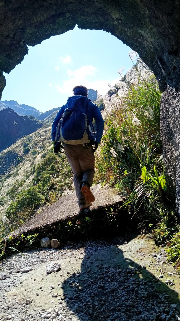 找一個晴天去爬山~金瓜石芒花之旅_2962428