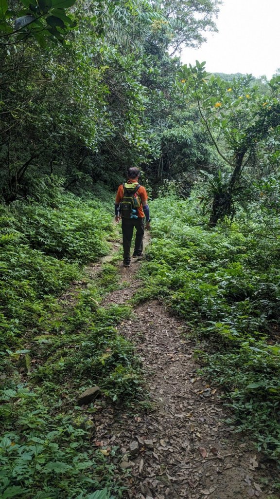 113.06.16白沙丘山-舊草嶺隧道-隆嶺古道之旅_2530552