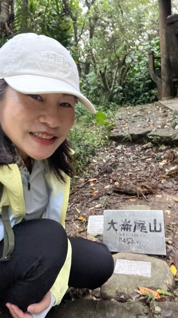 小百岳_大崙頭山_2959972