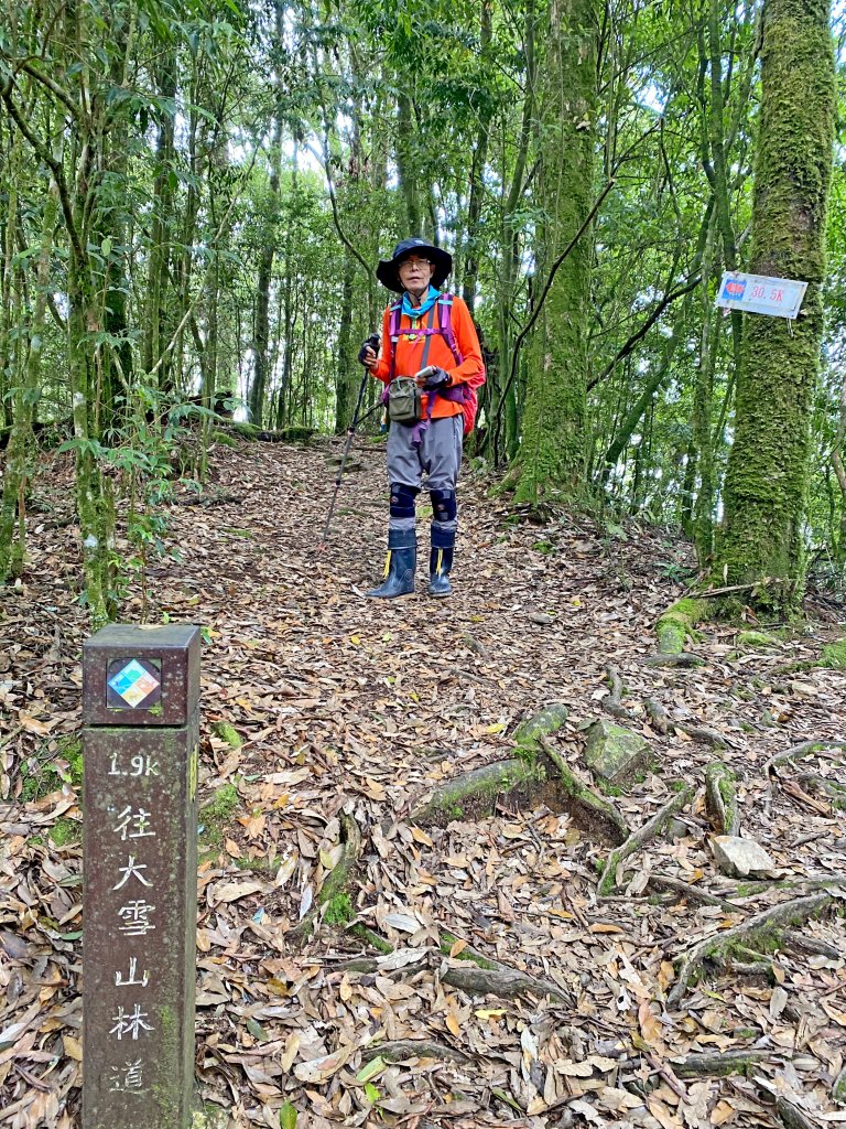 鳶嘴稍來神木、稍來山O型走2020915_1102503