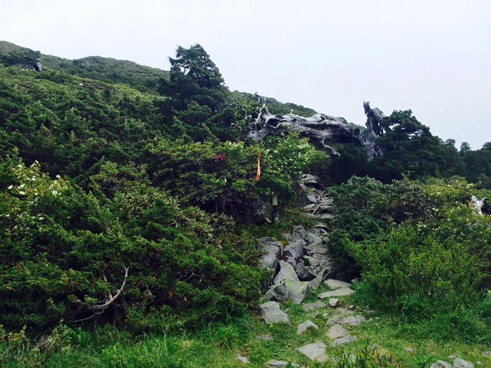 雪山翠池--201705_532344