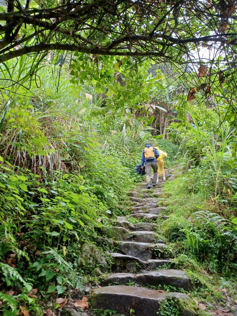 【苗栗大湖】山頂展望佳等到雲海。 馬那邦山登山步道_2806787