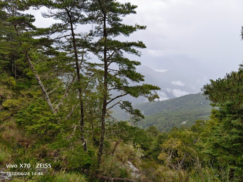 20220625台東海端向陽山、向陽山北峰、三叉山、嘉明湖_1745461