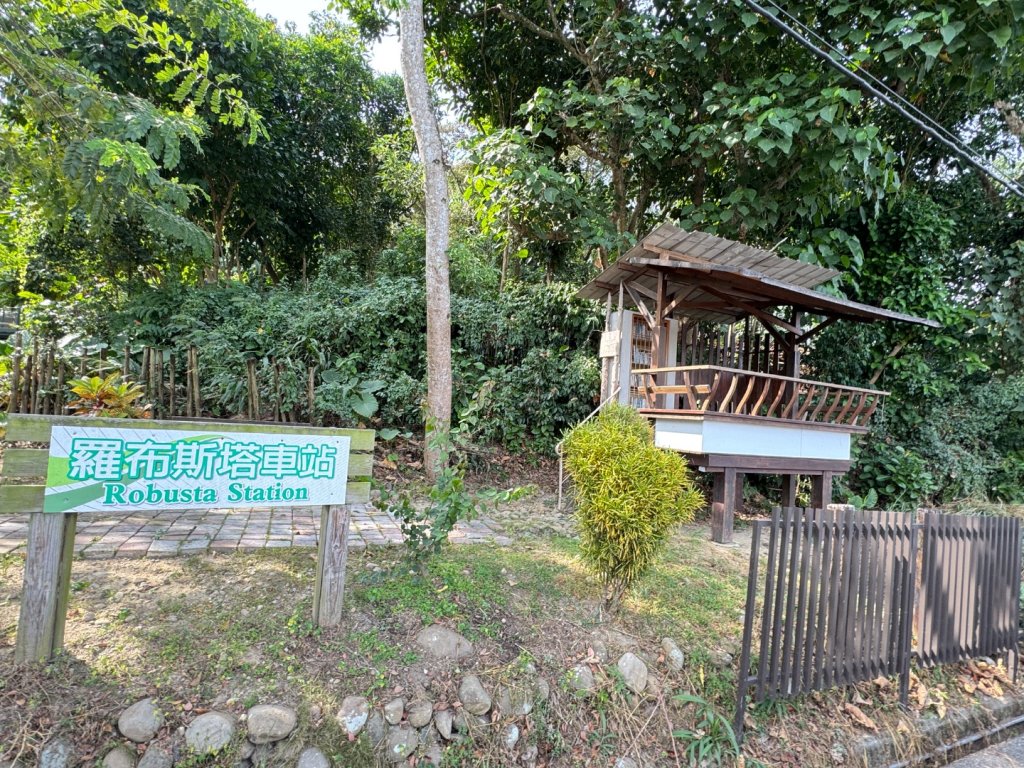 古坑地母廟走荷苞山(登山步道)訪小溪子山_2946771