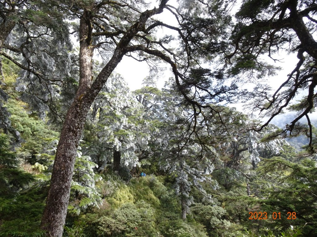 白色南華山_2019752