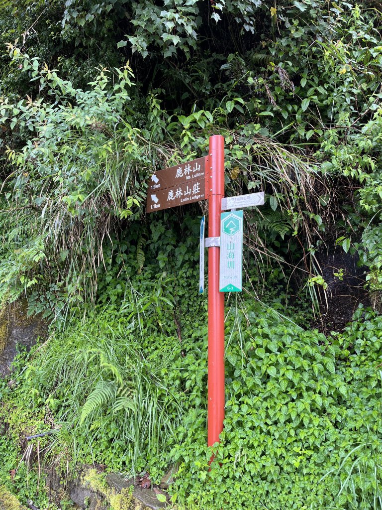 鹿林山-鹿林前山-真鹿林山-石水山-石水山基點峰 2025.5.25_2798404