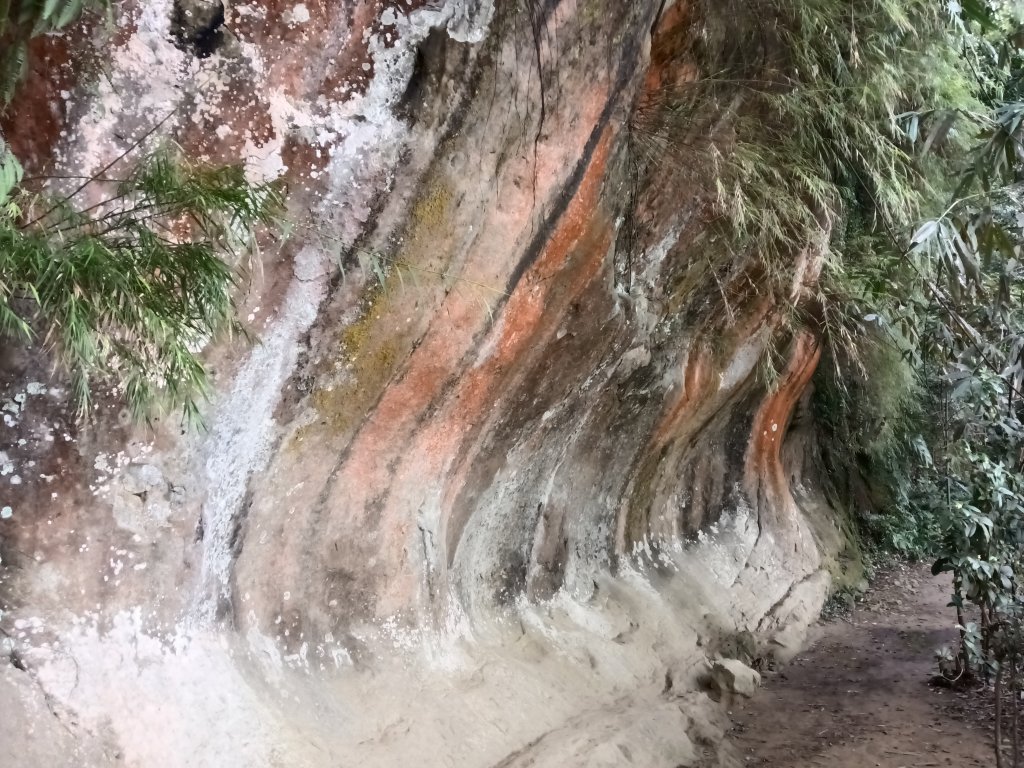 三峽區鳶尾山+福德坑東峰+福德坑山+鳶山彩壁+五十分山+壽山+龍山寺封面圖