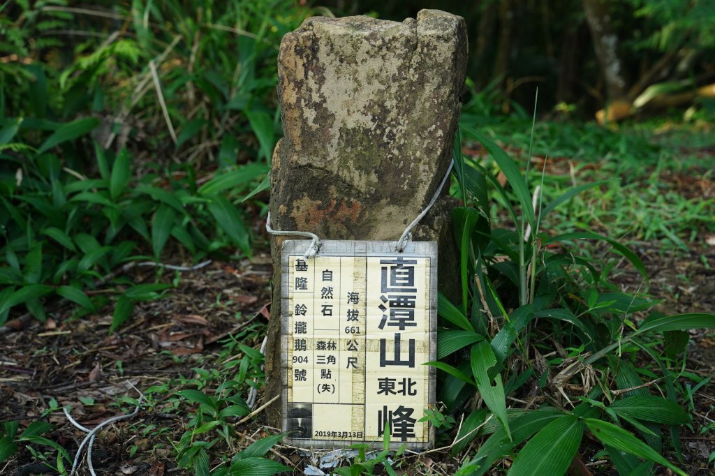 新北 新店 石碇後山、赤腳蘭山、暗寶劍山、鳥嘴尖_2793479