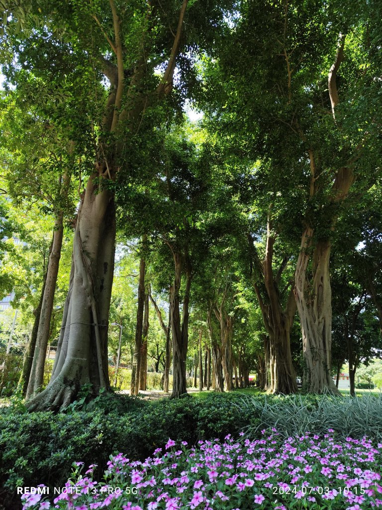 大安森林公園【走路趣尋寶】【臺北健走趣】_2541482