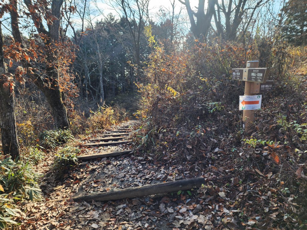 20251127陣馬山至高尾山_2959076