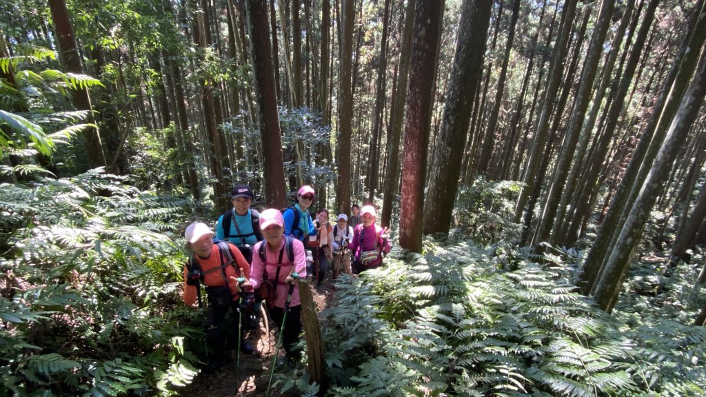 群鵝迎接的鵝公髻山_1852061