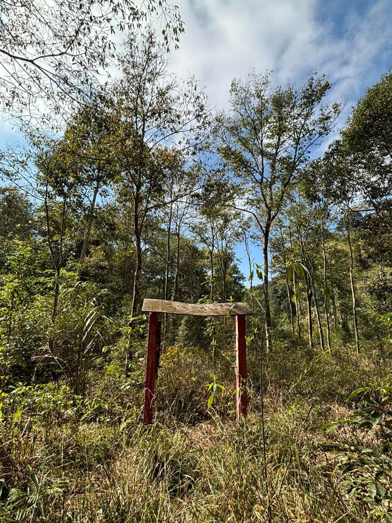 20240224水社大山、主峰、卜吉山、卜吉東南峰_2436392