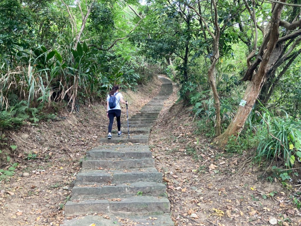 林口太平濱海步道_2278983