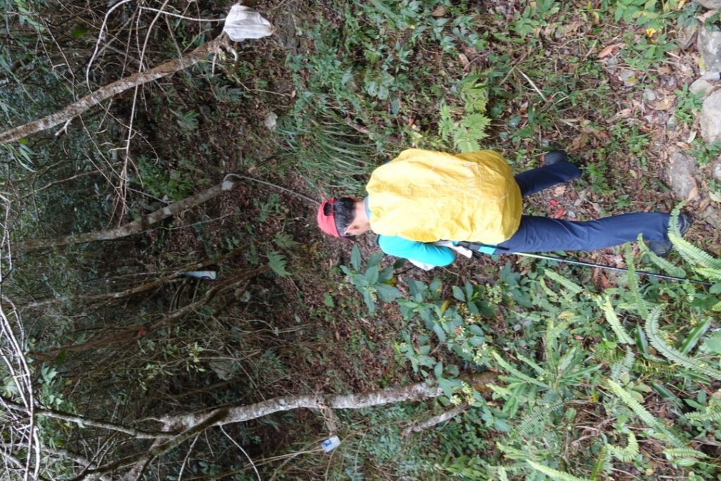 小鬼湖林道上亞泥迪山_1276890