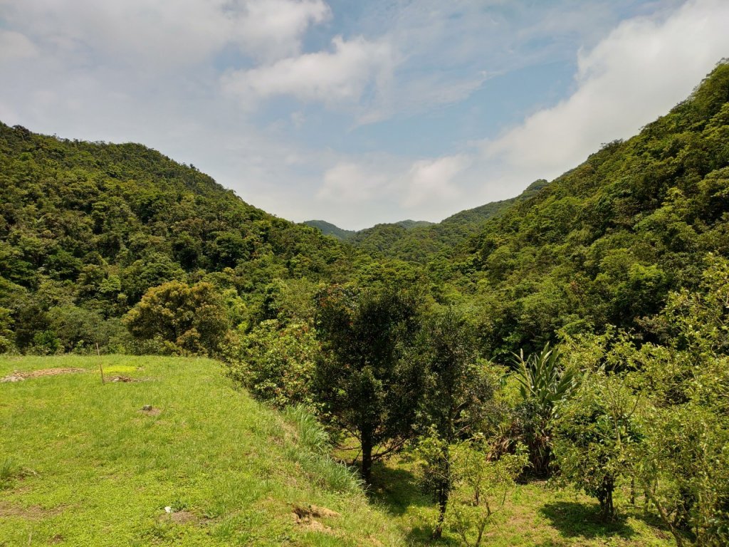 坪溪古道－穿著涼鞋玩水趣_954822