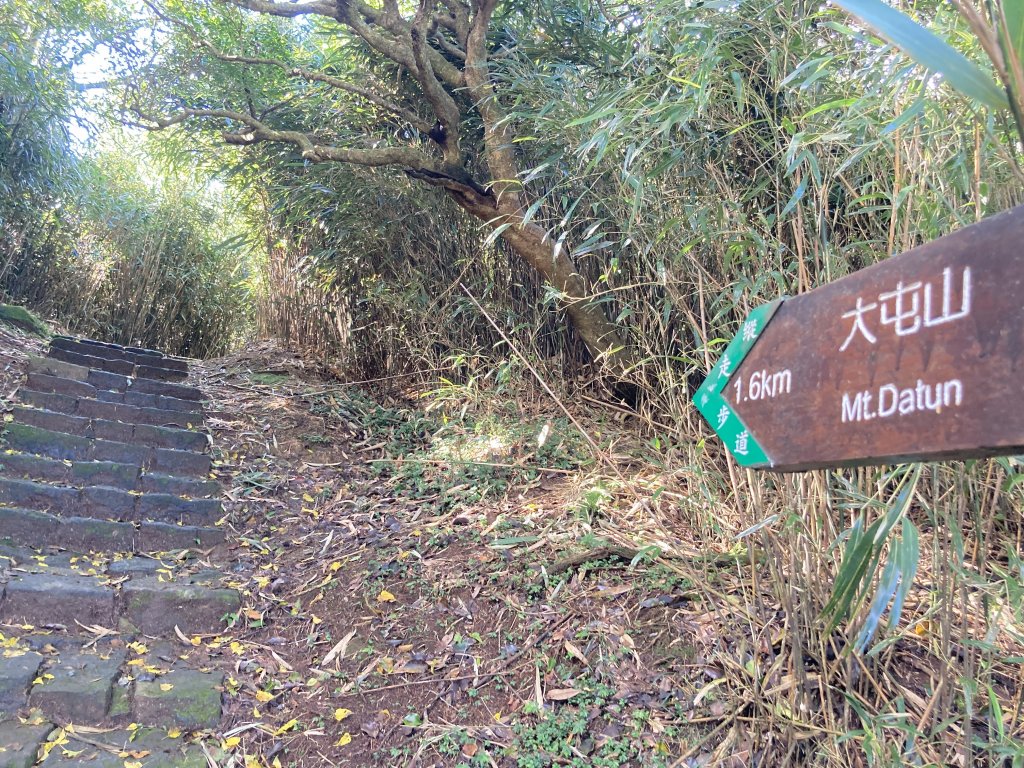 2022.11.13 小油坑山-大屯山三峰-面天坪-貴子坑（臺北大縱走第二段）_1920519