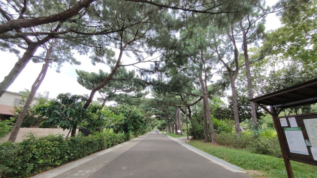 霄裡好風光運動樂悠遊-大湳森林公園_2823562