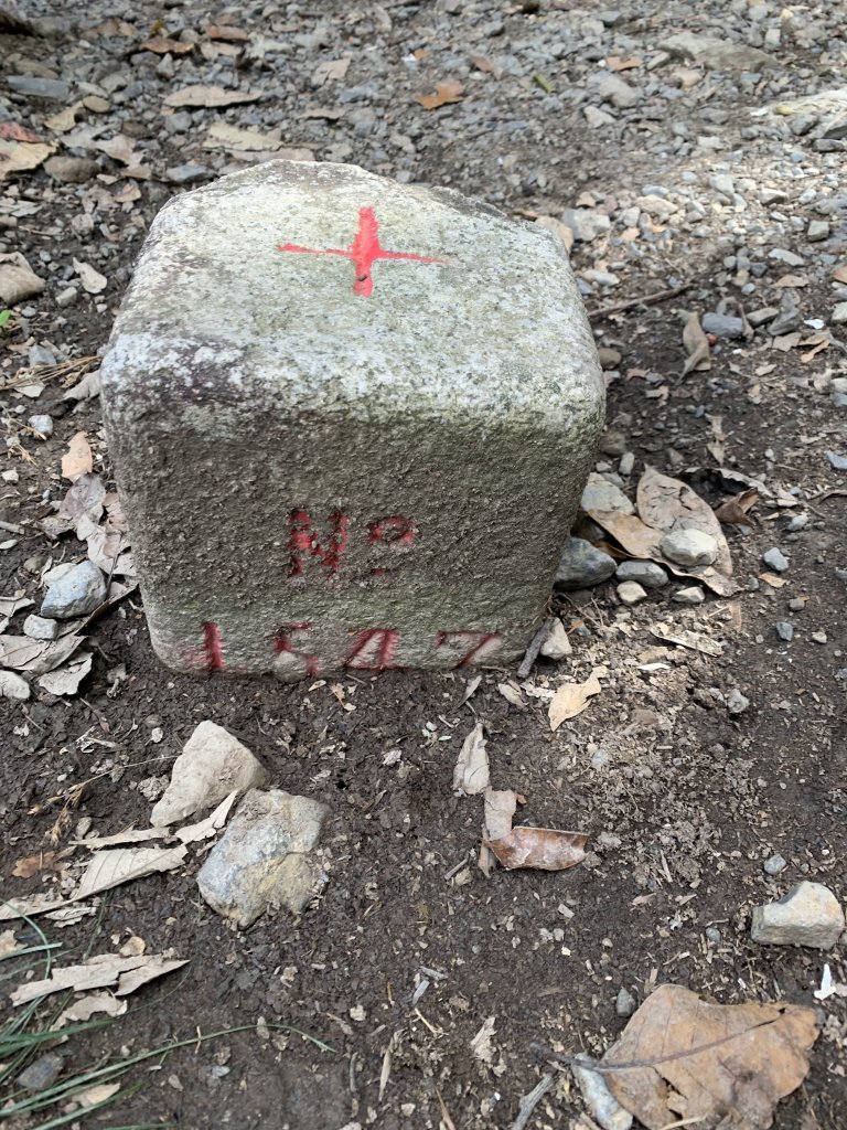 20251018台中八仙山_2921427