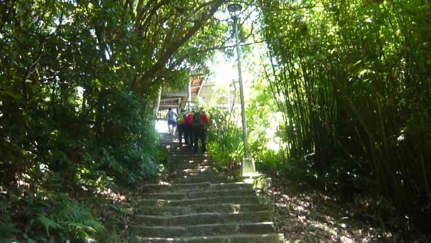 觀音山尋寶硬漢嶺/林梢步道/牛港稜山_1030588