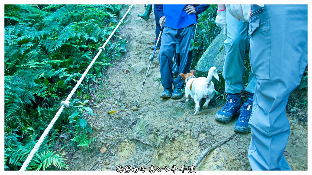 小錐麓 劍龍稜  鋸齒稜 採金舊道 哈巴狗岩_1388190