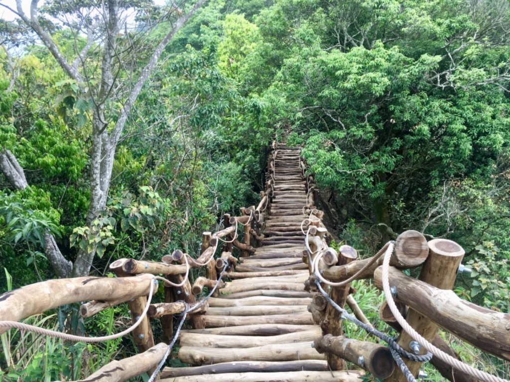 大坑四號-頭嵙山封面圖