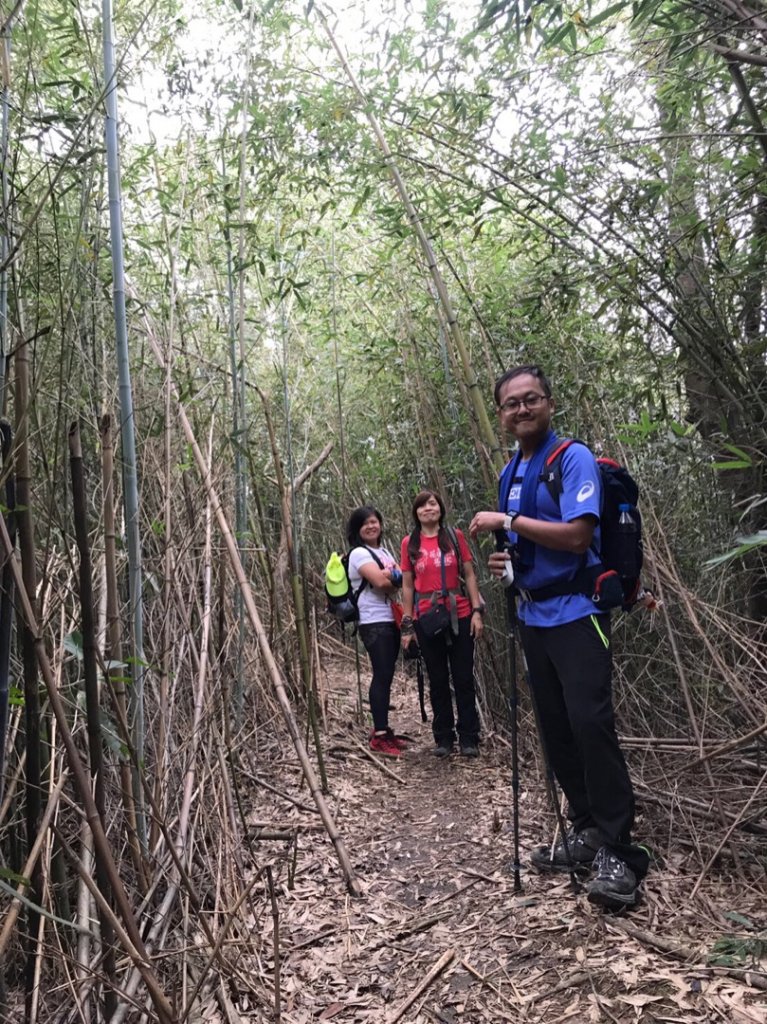 瓏美麗一週一步道（皇帝山系縱走）_594618