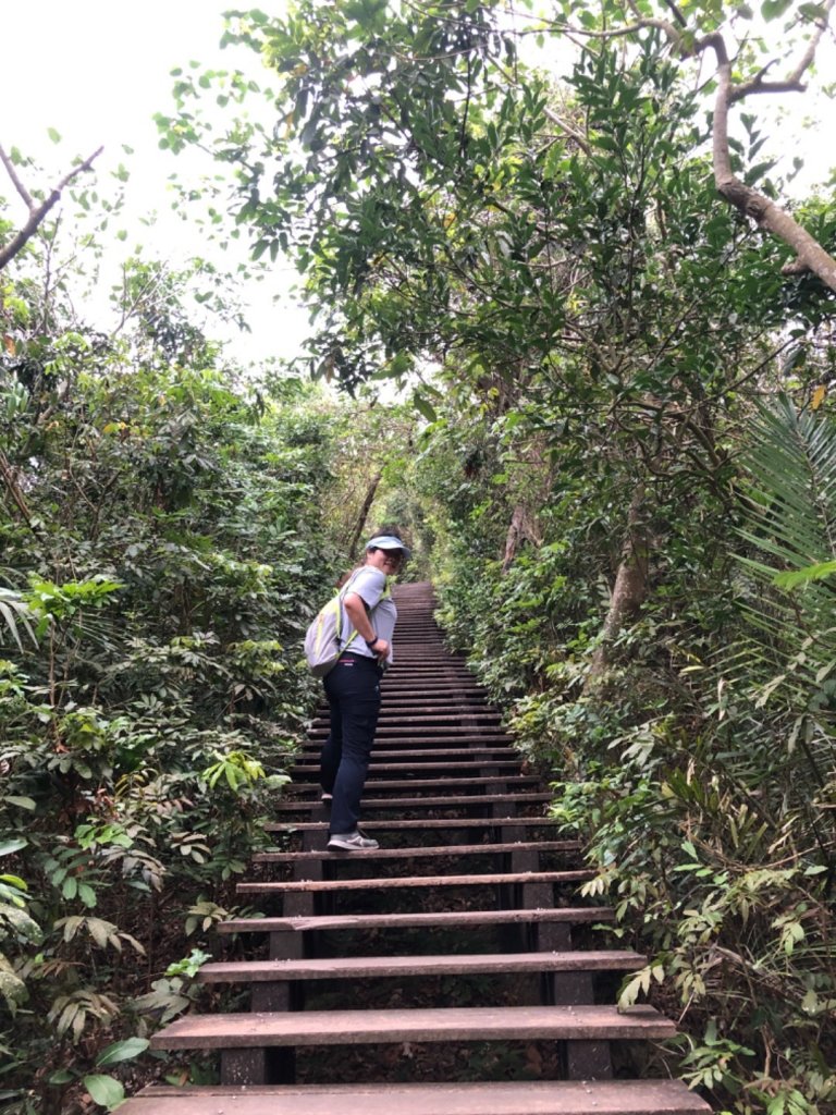 2020.04.02北柴山_900703