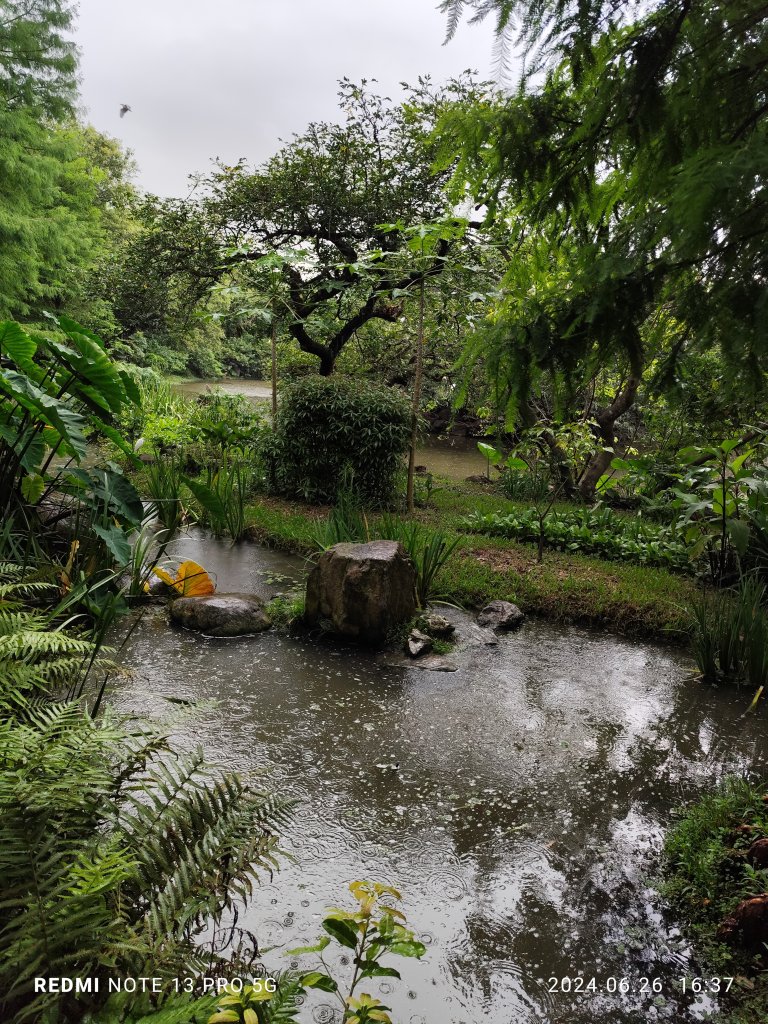 大安森林公園【走路趣尋寶】【臺北健走趣】_2536289