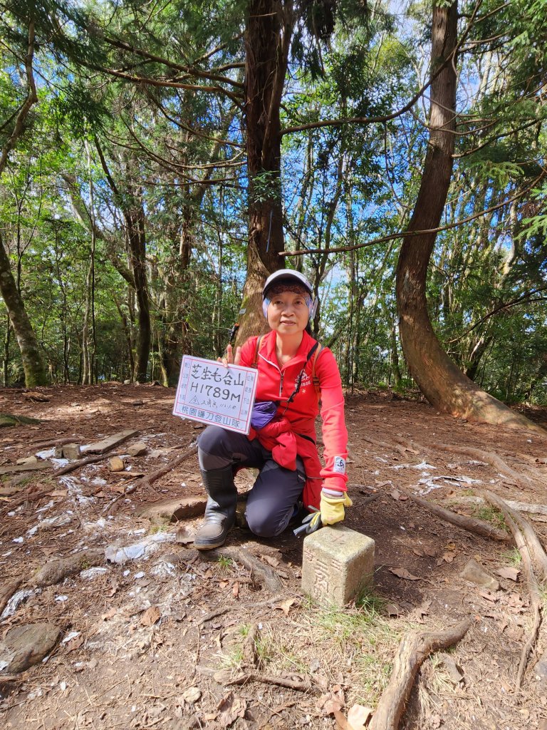 112/2/11芝生毛台山、屯野生炮台_2148114