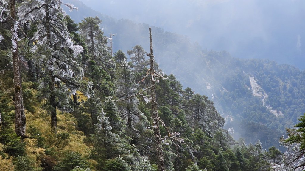 112.3.13～3.14 冰封奇萊主北_2074452