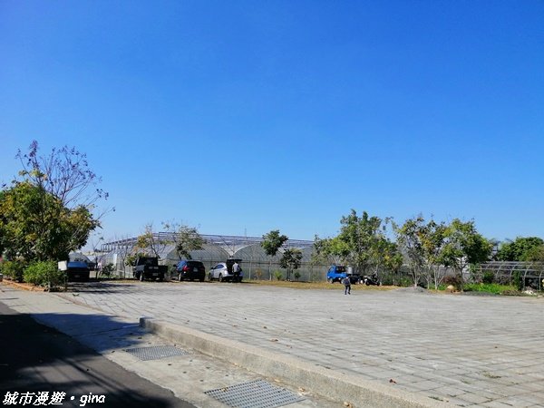 跟著土地公指標趣味走~大里金螢寶山貴妃道_1299106
