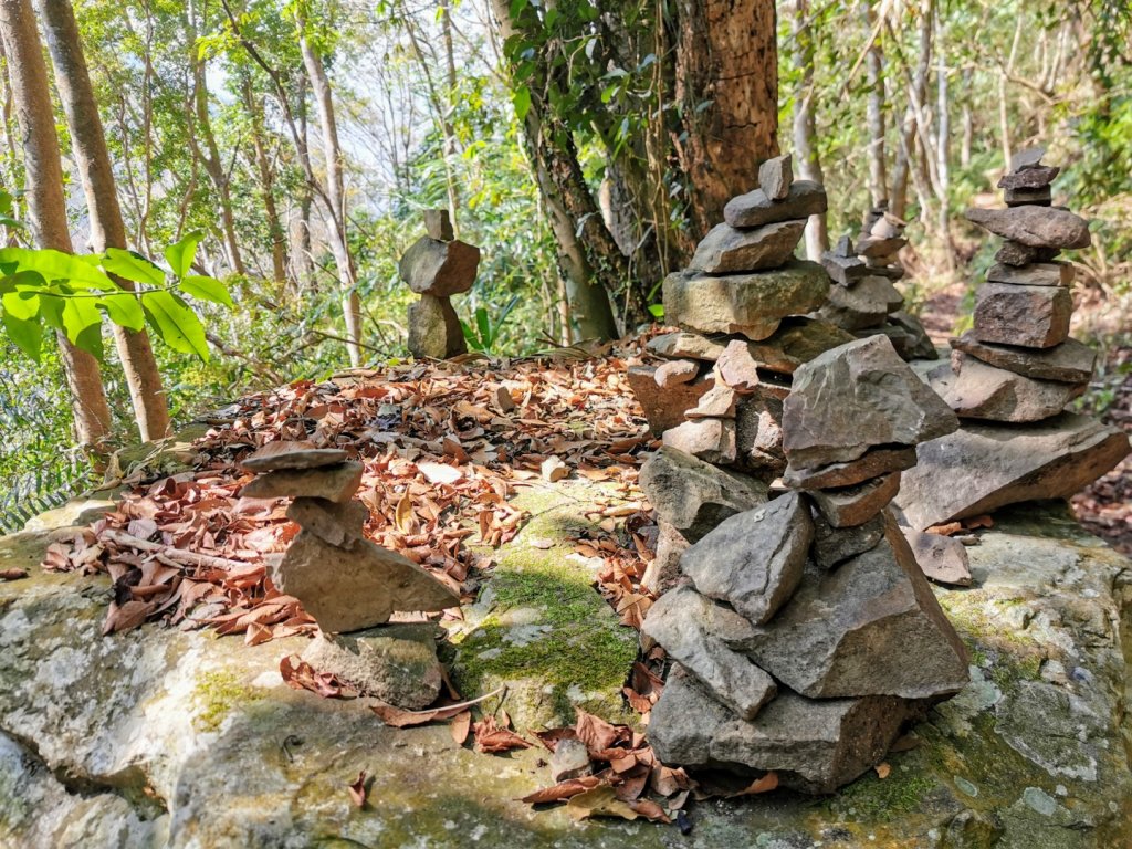 步道巡訪員│鳥嘴山步道 2 月巡訪日誌_820155