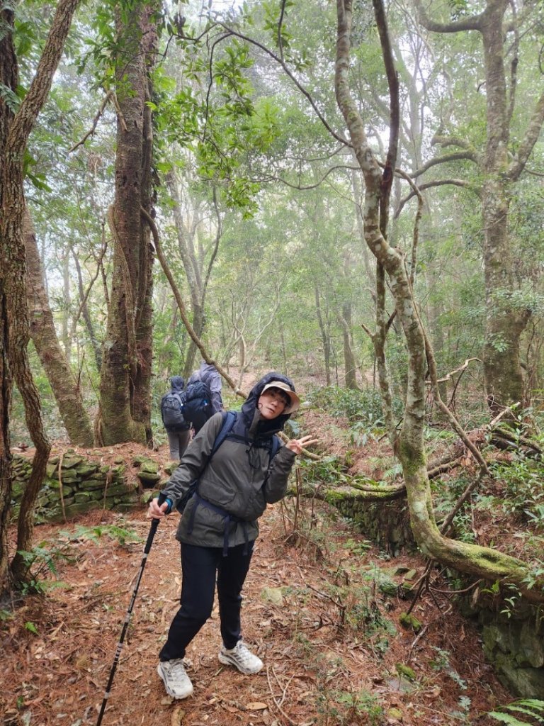 【中級山】芝生毛台山，芝生毛台山西峰，秀巒軍艦岩，屯野生步道，屯野生砲台_2745112