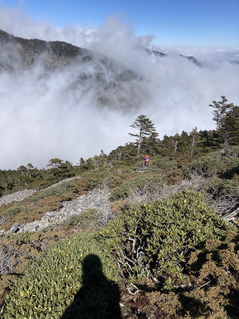 順撿甘木林之雪山西稜接志摩山稜線下小雪山林道_2012212