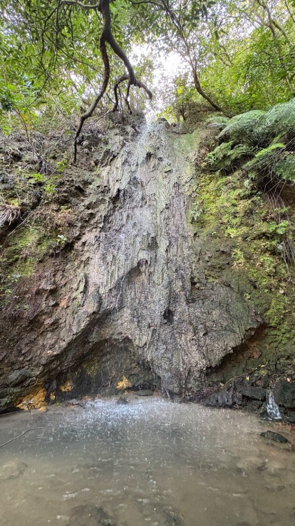 漫遊陽明山_2952047