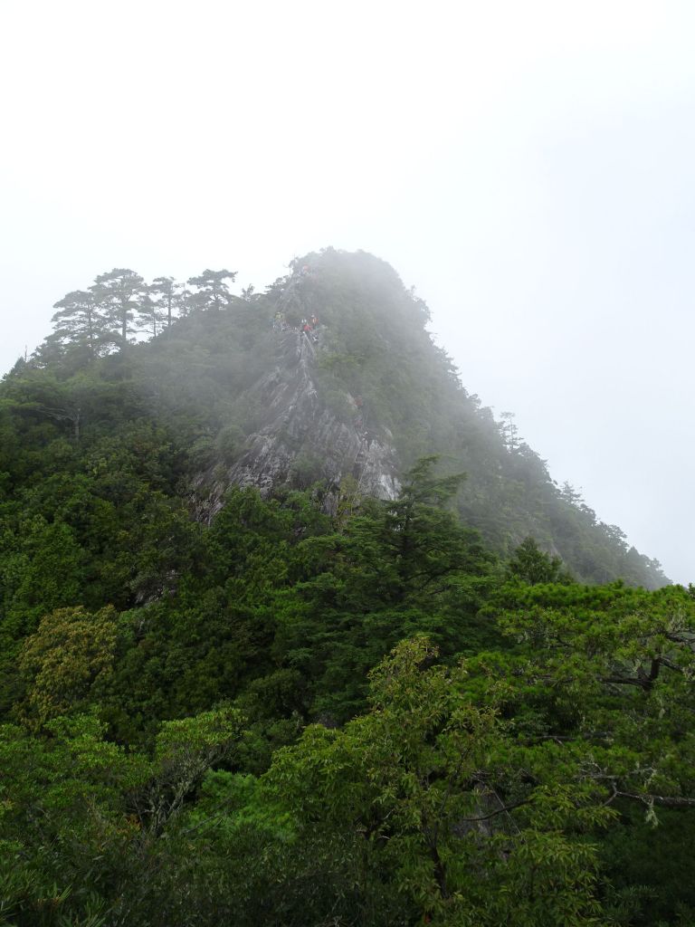 中級山尋幽~台中和平區鳶嘴山(第5次)_378795