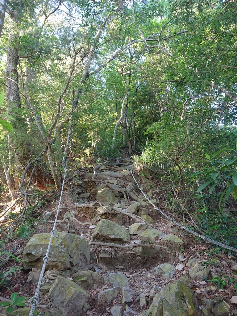 唐麻丹山_2790146